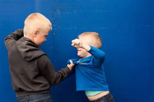 Грубый и бесчувственный родитель также воспитывает жестокого ребенка