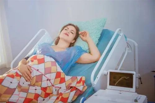 жалюзи 435120604 жалюзи 435120604