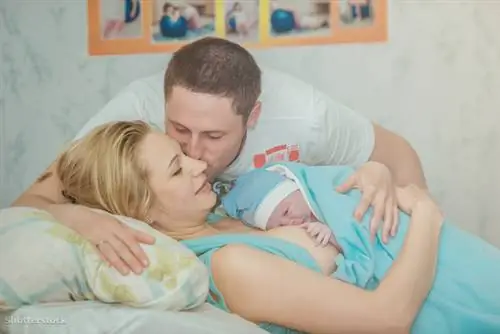 жалюзи 435236155 жалюзи 435236155