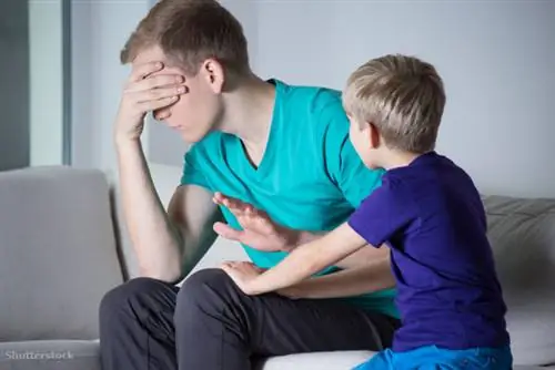 жалюзи 259551602 жалюзи 259551602