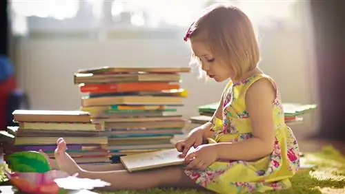 Рекомендуемые летние книги для детей 7-11 лет