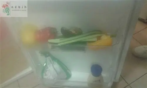 Если вы недавно ели в азиатском буфете Westend, НЕ читайте это