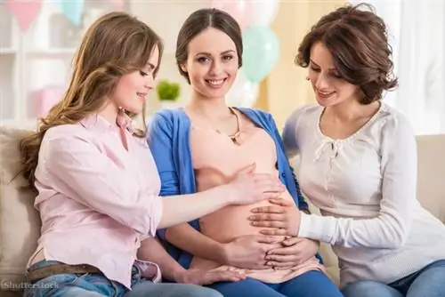 жалюзи 272575028 жалюзи 272575028