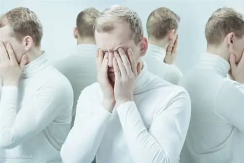 жалюзи 394955857 жалюзи 394955857