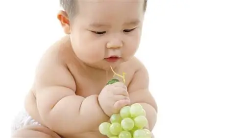 Маленькая девочка была унижена из-за своего веса