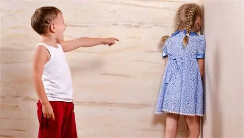 Не обижайте моего ребенка
