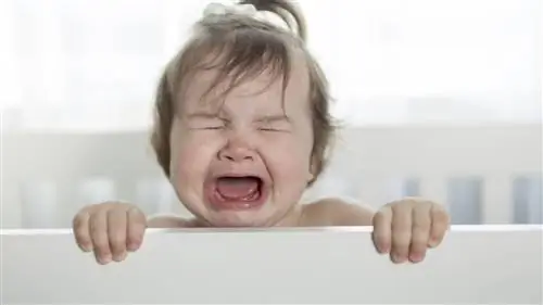 Вот почему нельзя игнорировать детский плач