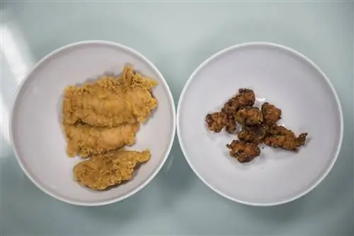 Тест: мы попытались раскрыть секрет KFC