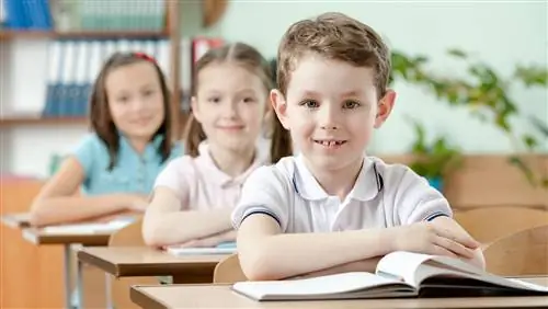 Обещания и реализация: новичкам в этом году тоже не легче