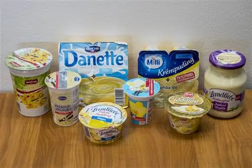 Test: ванильные пудинги и йогурты