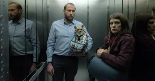 скажем огурец 01