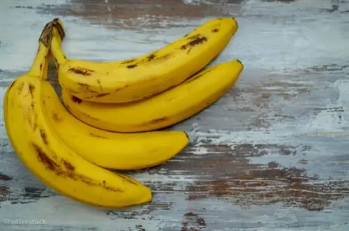 жалюзи 453806206