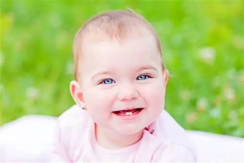 Неужели нет чудодейственного средства от прорезывания зубов???