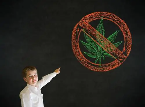 Что защищает наших детей от наркотиков?