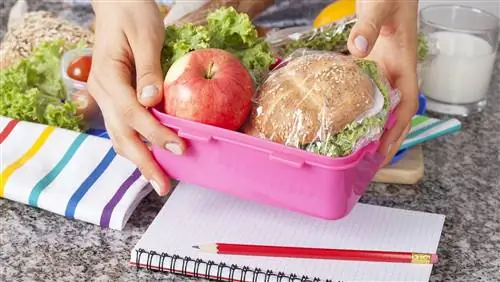 От специалиста по упаковке закусок