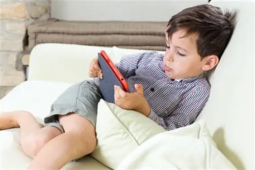 Игра для планшета отфильтровывает ранние признаки аутизма