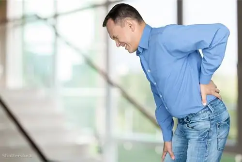 затвор 327046430