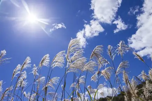 GettyImages-517635679