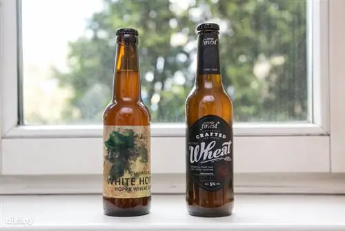 Это соревнование в пшеничной категории, от пива Tesco никто не падал в обморок