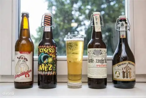 Однако наибольшее удивление вызвала категория лагеров