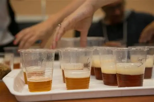 Тест: массовое пиво тоже может быть хорошим