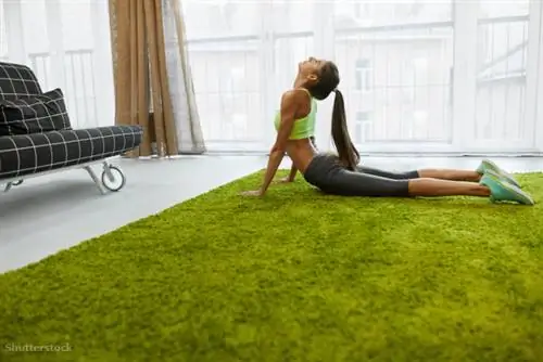 жалюзи 448322197