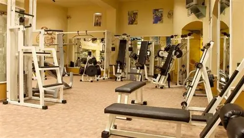 Гимнастический тест: Блестящий фитнес