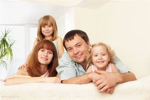 Картина является иллюстрацией