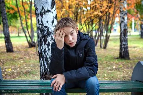 жалюзи 324331094