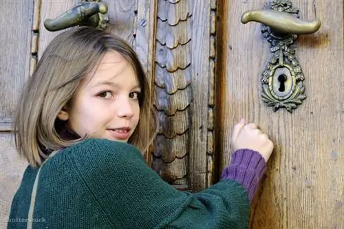 жалюзи 50462116