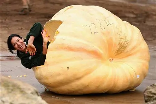 Человек, который хочет переплыть Венецианское озеро на 500-фунтовой тыкве на Хэллоуин