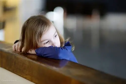 жалюзи 137207504