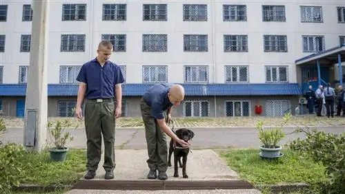 Тюрьма в Мишкольце может сделать нечто беспрецедентное во всей Европе