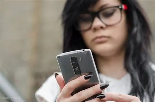 жалюзи 419310439