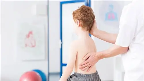 Вам нужен штамп спортивной медицины? Ха-ха, удачи