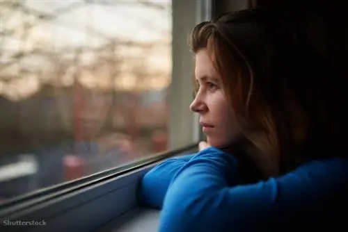 жалюзи 376794838