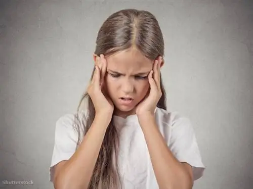 жалюзи 220973071