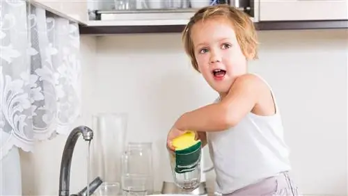 Выполняет ли ваш ребенок эти домашние дела?