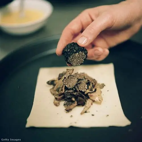 Сезон трюфелей