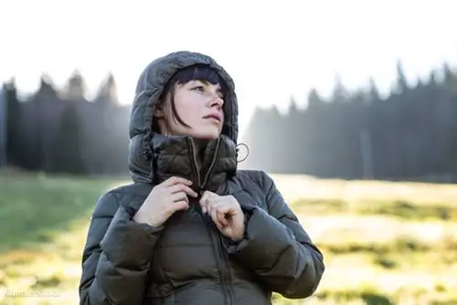 затвор 225105274