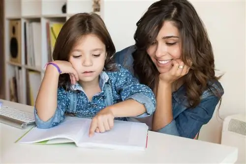 Домашние ученики: уже трое детей в домашней школе