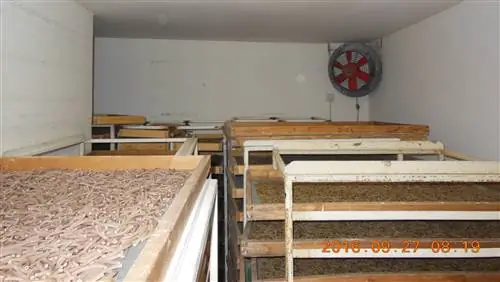 Тесто реформы было сделано из мышиных экскрементов