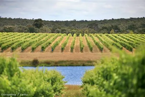 GettyImages-535154538