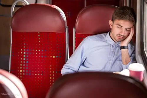 жалюзи 312669791