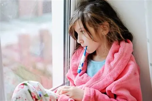 Укрепление иммунитета от овощей и фруктов до гомеопатии