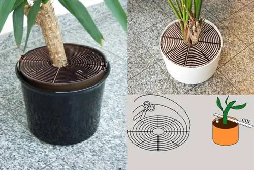 en-reer-plant-pot-guard-2016 (1) en-reer-plant-pot-guard-2016 (1)