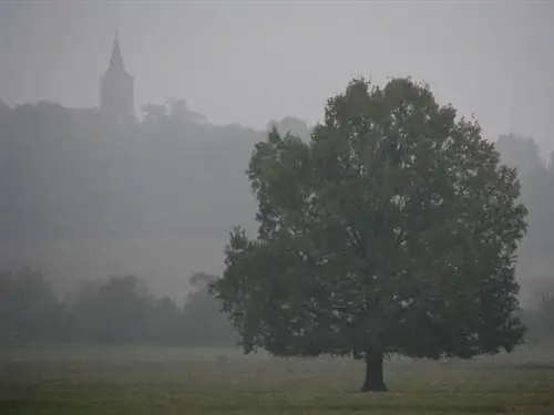 Сказочный страж