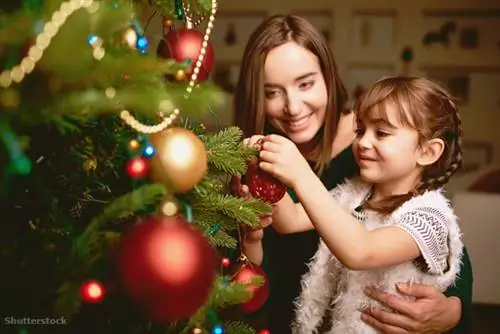 жалюзи 337993097