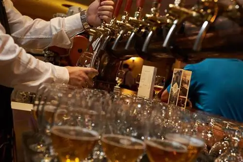 Пиво за ужином? Мы расскажем вам, что