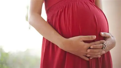 Гены также влияют на то, когда вы рожаете